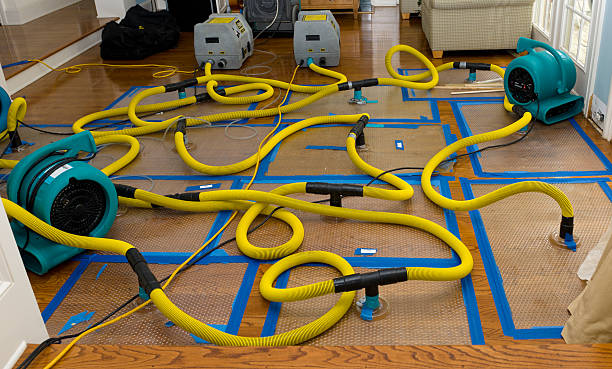Professional Burst Pipe Water Damage technician working in Sharples, WV