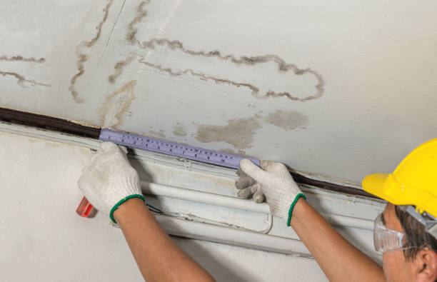 Affordable Water Damage Repair solutions in Sharples, WV